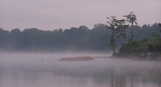 Altamaha River bluff