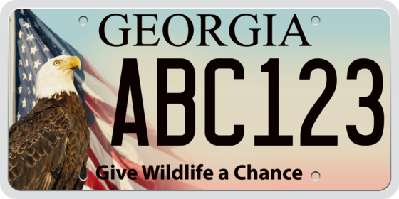 Eagle and U.S. flag license plate