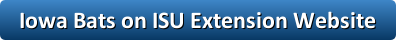 Iowa bats on ISU extension website