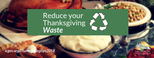 Thanksgiving waste graphic
