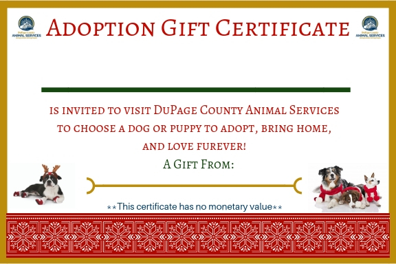 Adoption Certificate For Pets