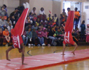 Tumblers Large Thumbnail