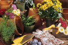 Garden Fair
