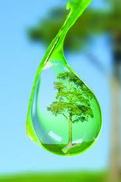 Water Efficiency