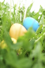 Egg hunt