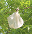 Plastic Bag