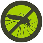 Mosquito