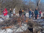 Volunteer Restoration