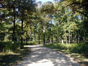 Des Plaines River Trail
