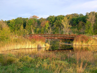 Independence Grove