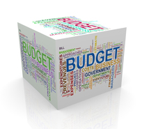 Budget pic