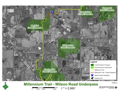 wilson road underpass