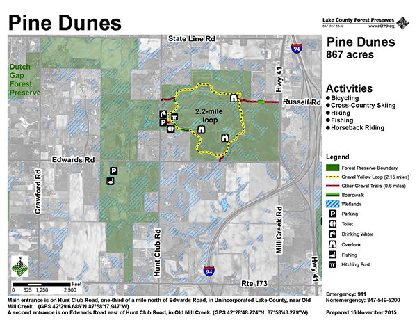 Pine Dunes