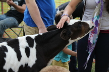 farm heritage festival