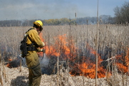 spring controlled burns