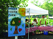 green youth farm