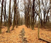 Oriole Grove Forest Preserve