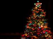 holiday tree lighting