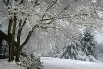 OWH december