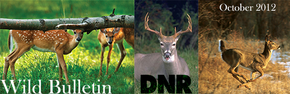 deer license indiana