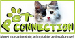 Pet Connection