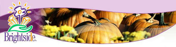 Brightside Pumpkins Masthead