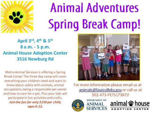 Spring Break Camp