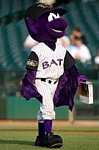 Bats logo