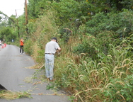 Lexington Road Project