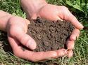 Free Soil Testing