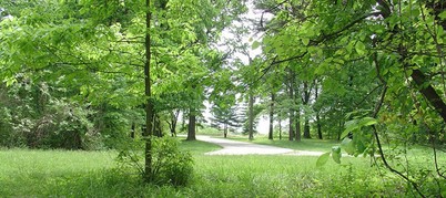 park