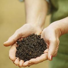 soil