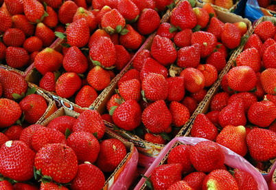 strawberry fields forever
