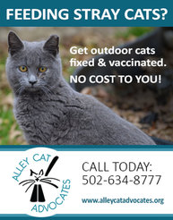 Spay, Neuter and Vaccinate