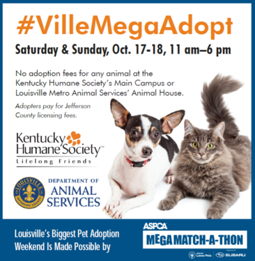 LMAS Adopt Event