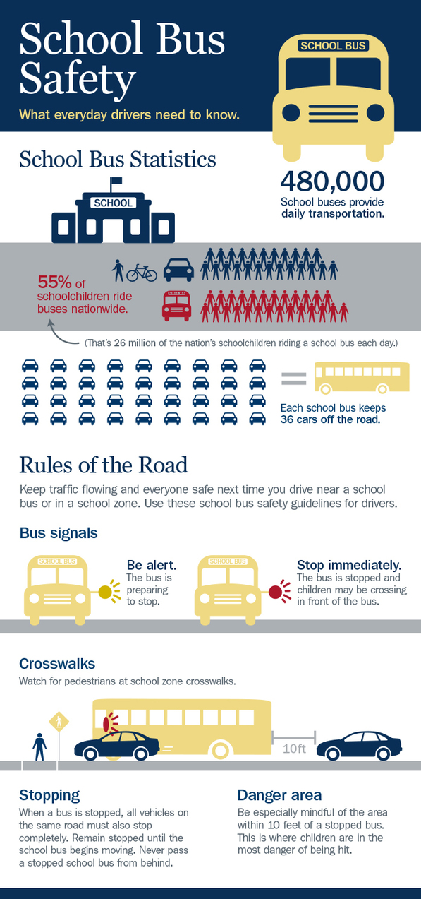 School Bus Infographic