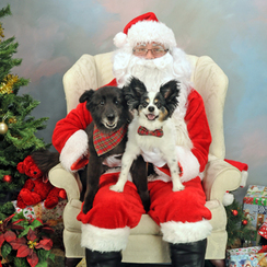 Pets with Santa