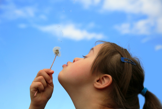 Girl blowing on a dandelion