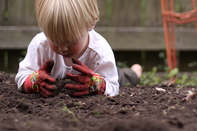 child planting a plant