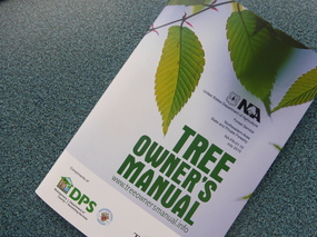 Tree Bulletin