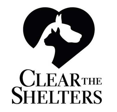 Clear the shelters 