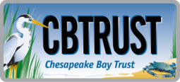 CBT logo