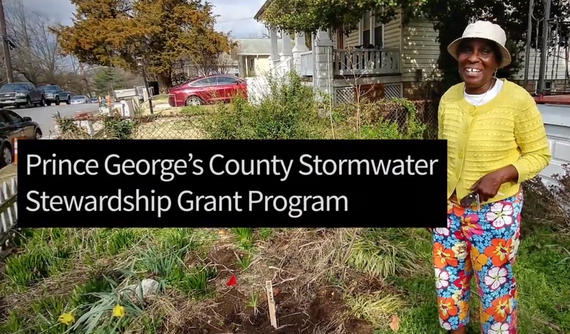 Stormwater Stewardship Grant success story still