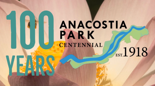 Anacostia Park 100 still