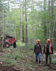 Picture of landowner and forester walking a harvest site.