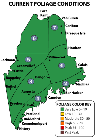 Maine Fall Foliage Map