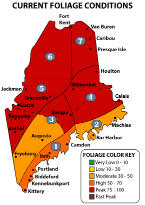 Maine Foliage Conditions Map