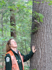 Patty Cormier, Maine Forest Service District Forester