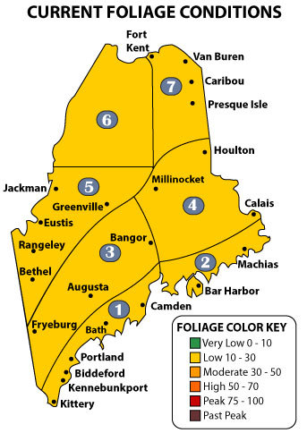 Fall Foliage Zone Map Showing Low Color Change
