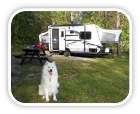 Camper set up near picnic table; white samoyed on leash in foreground